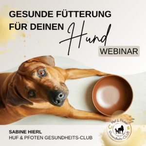 Gesunde Hundefütterung